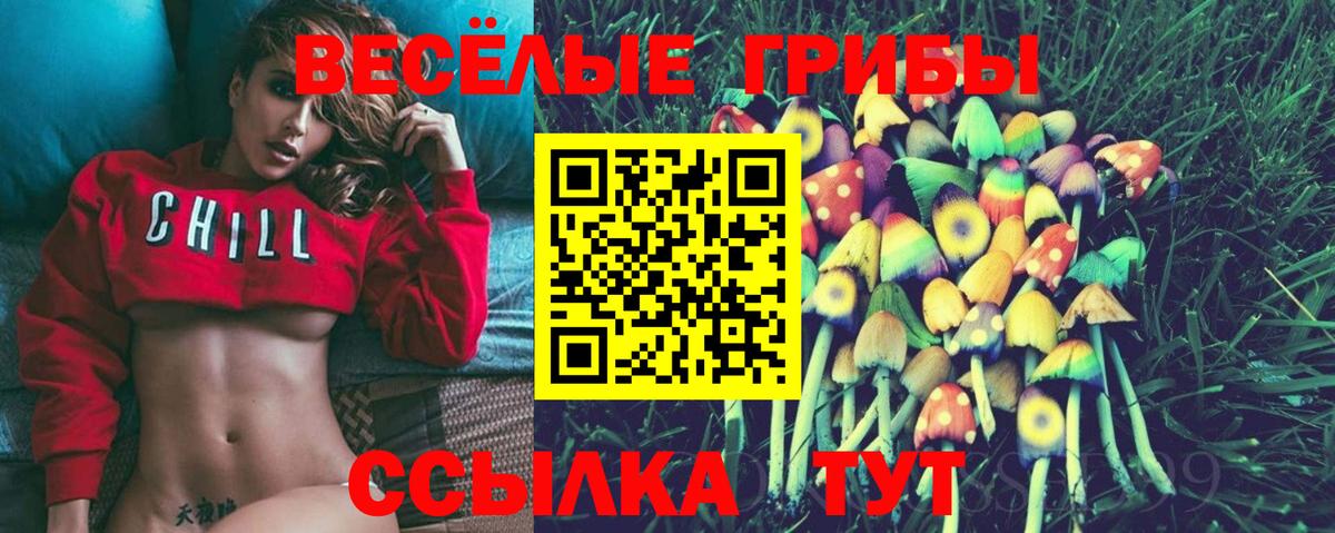Галлюциногенные грибы Psilocybine cubensis  Вход с VPN  купить наркотики цена  Гудермес 
